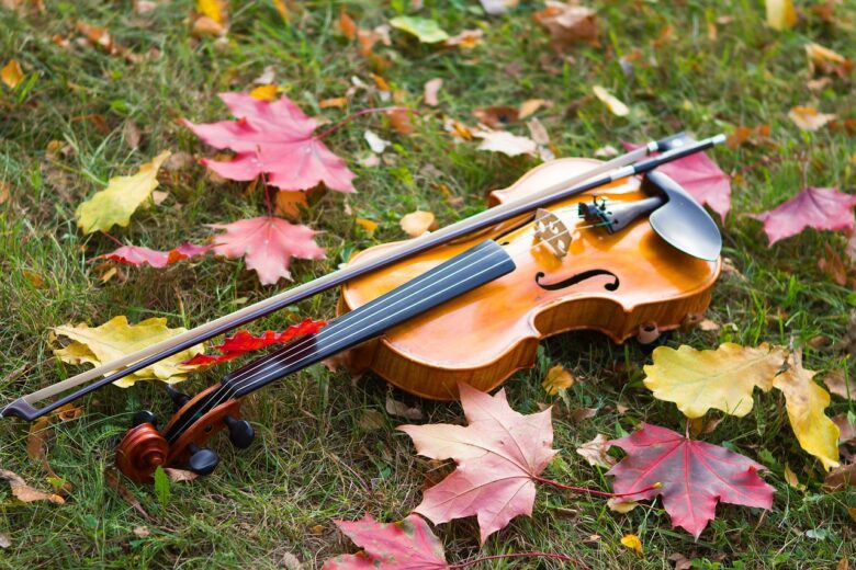 autumn, violin, nature